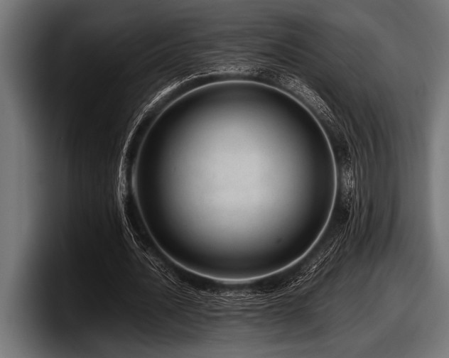X0000097960628200803241214