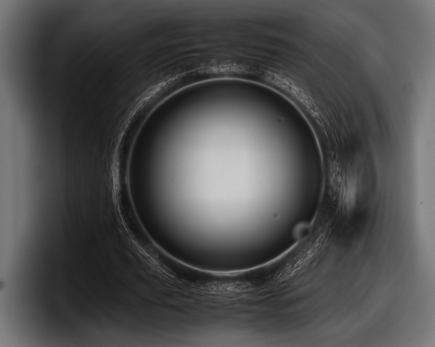 X0000097960629200803241214