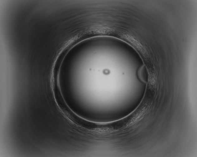 X0000097960630200803241214