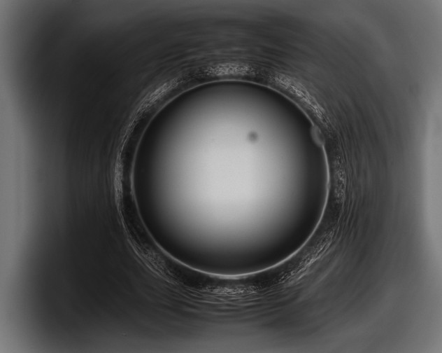 X0000097960631200803241214