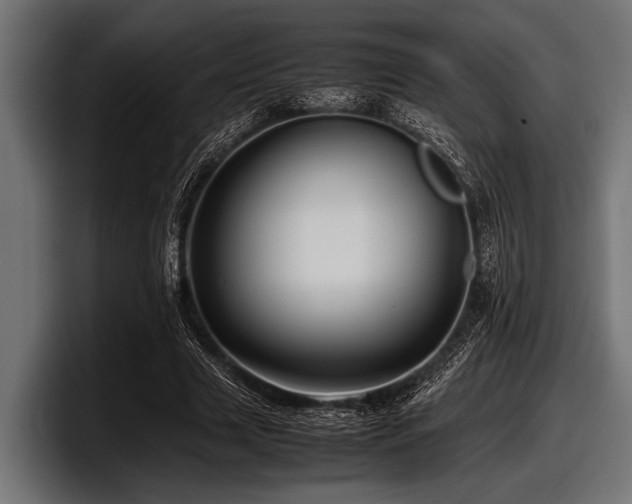 X0000097960633200803241214