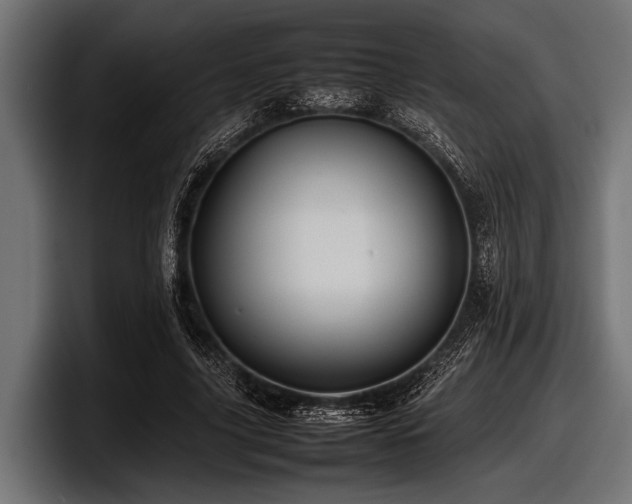 X0000097960635200803241214