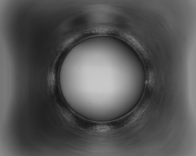 X0000097960636200803241214