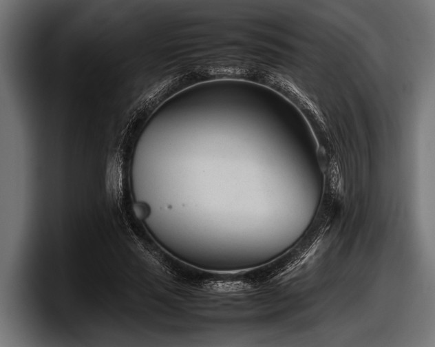 X0000097960637200803241214