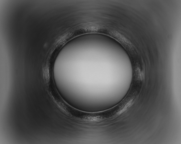 X0000097960638200803241214