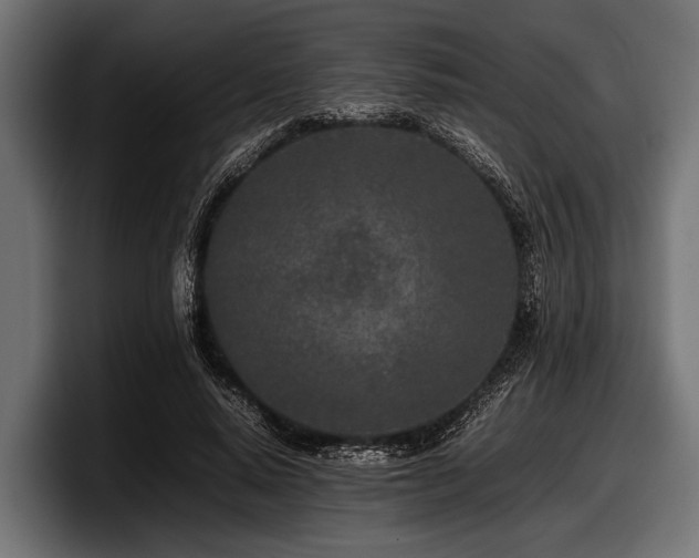 X0000097960640200803241214