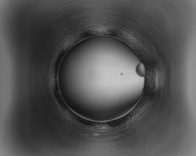 X0000097960642200803241215