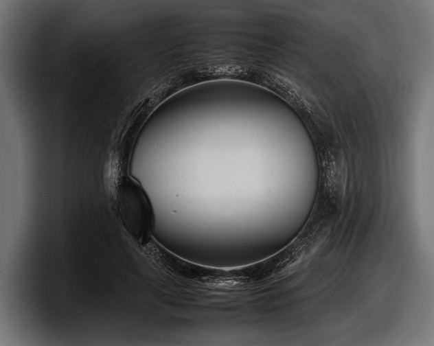 X0000097960643200803241215