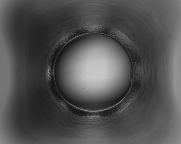 X0000097960644200803241215