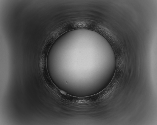 X0000097960645200803241215