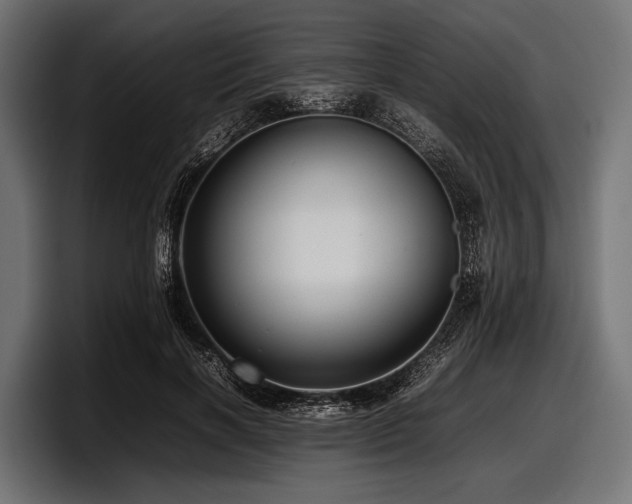X0000097960646200803241215
