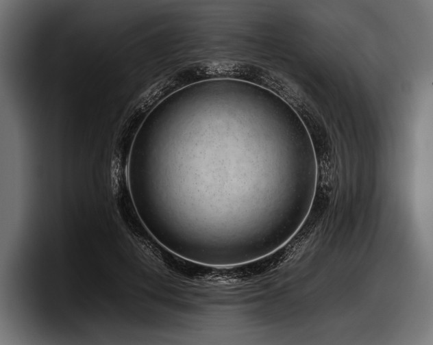 X0000097960648200803241215