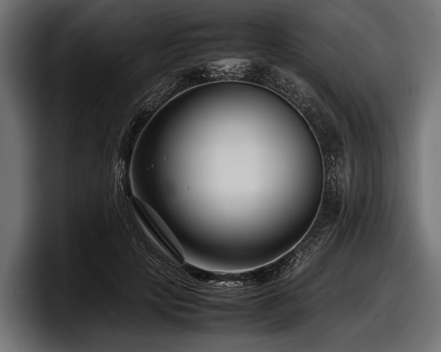 X0000097960649200803241215