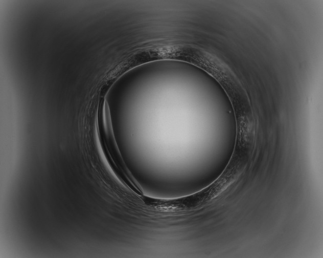 X0000097960650200803241215
