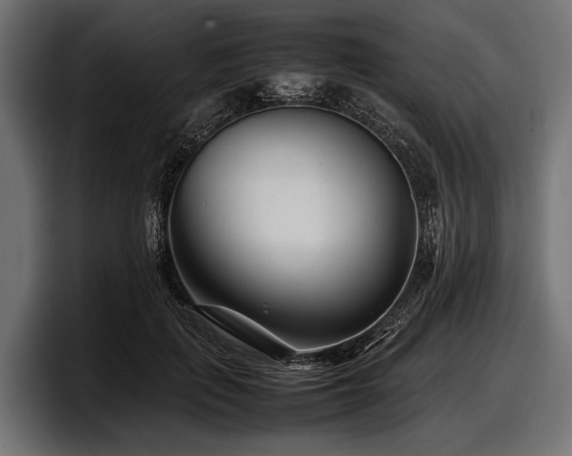 X0000097960651200803241215