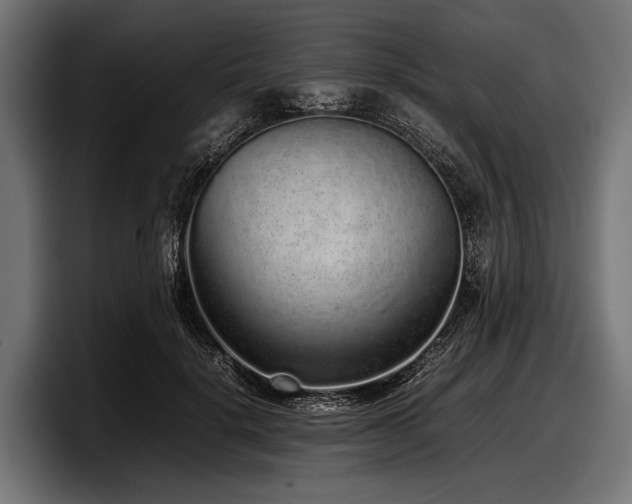 X0000097960652200803241215