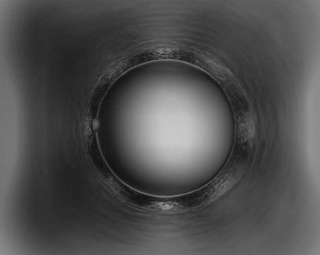 X0000097960654200803241215
