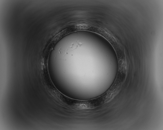X0000097960655200803241215