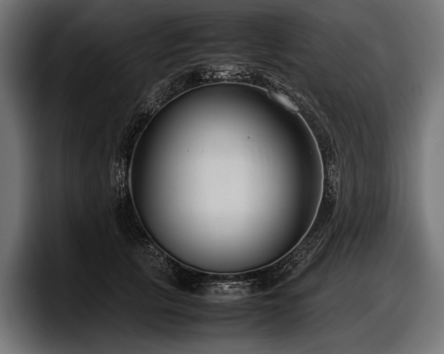 X0000097960657200803241215