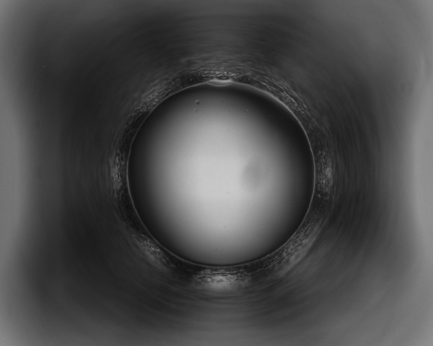 X0000097960658200803241215