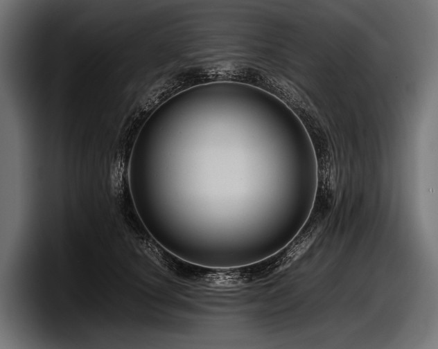 X0000097960660200803241215