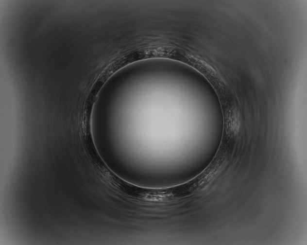 X0000097960661200803241215