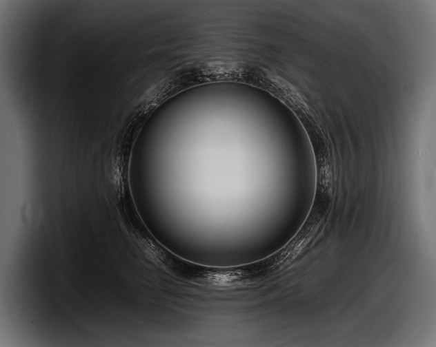 X0000097960662200803241215