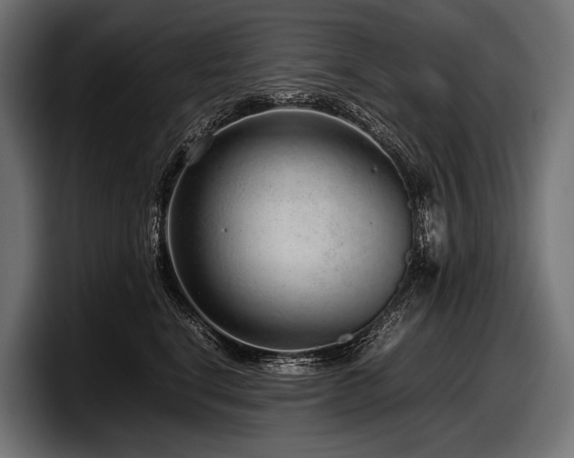 X0000097960664200803241215