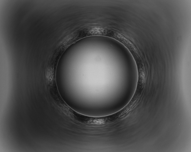 X0000097960665200803241215