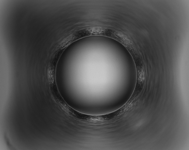 X0000097960666200803241215