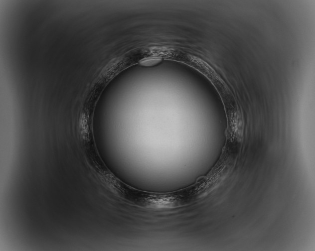 X0000097960667200803241215