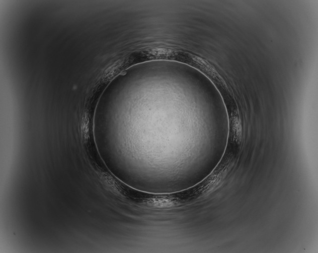 X0000097960668200803241215