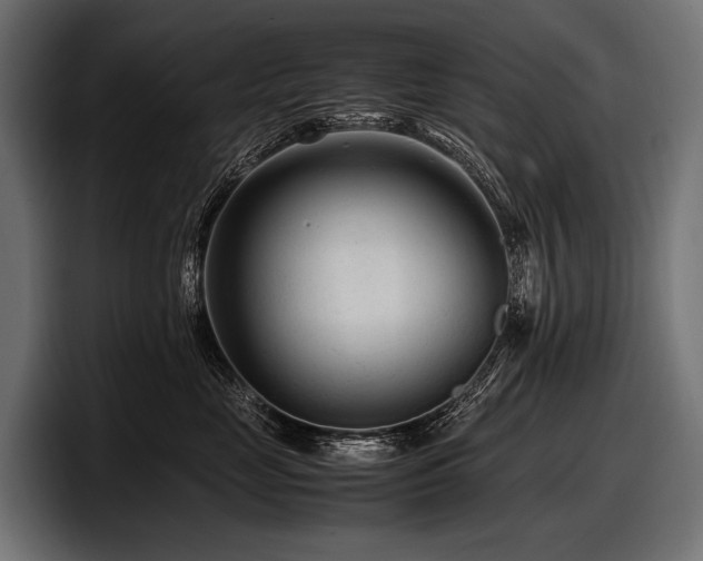 X0000097960669200803241215