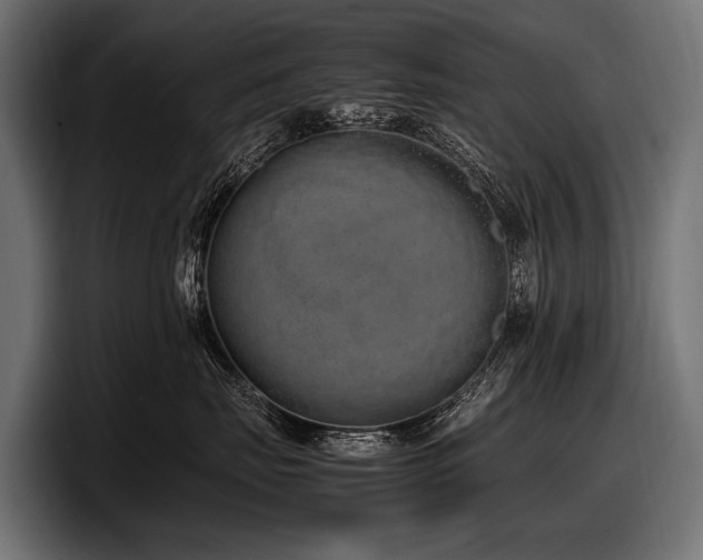 X0000097960671200803241215