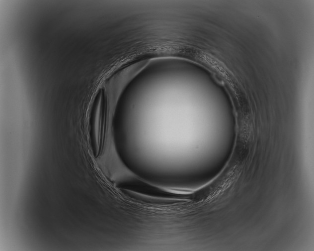 X0000097960673200803241214