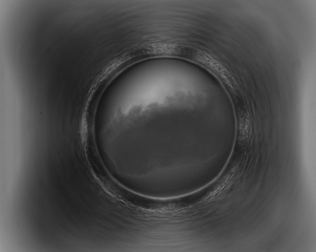 X0000097960674200803241214