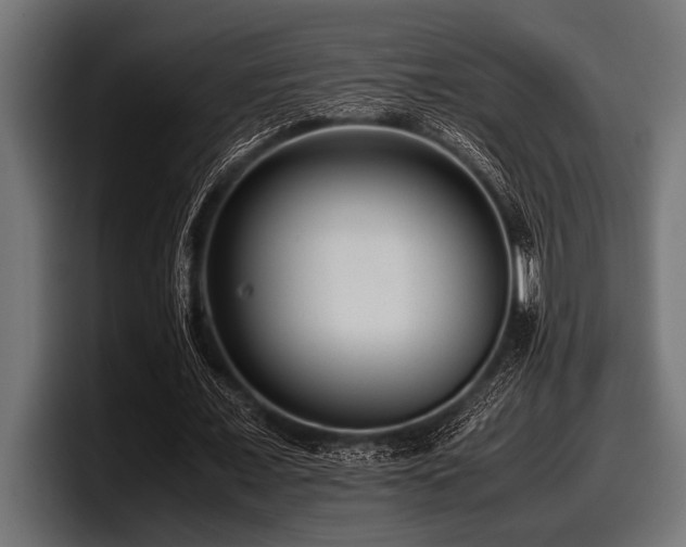 X0000097960675200803241214