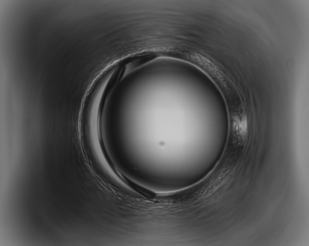 X0000097960676200803241214