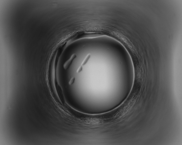 X0000097960677200803241214