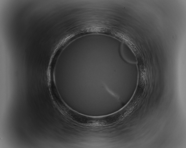 X0000097960678200803241214