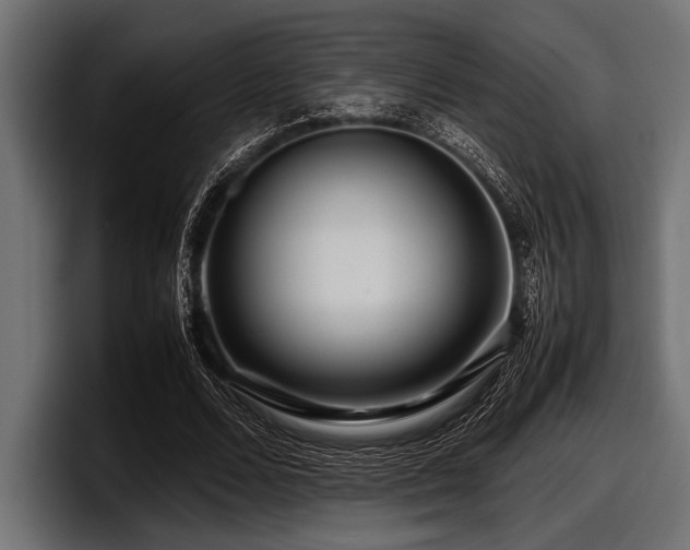 X0000097960680200803241214