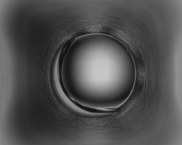 X0000097960681200803241214