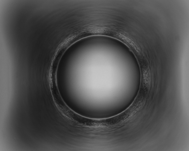 X0000097960682200803241214
