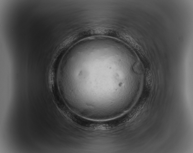 X0000097960683200803241214