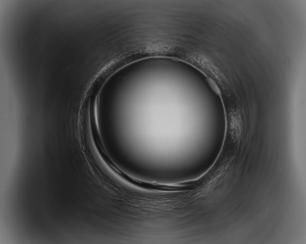 X0000097960684200803241214