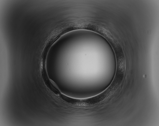 X0000097960685200803241214