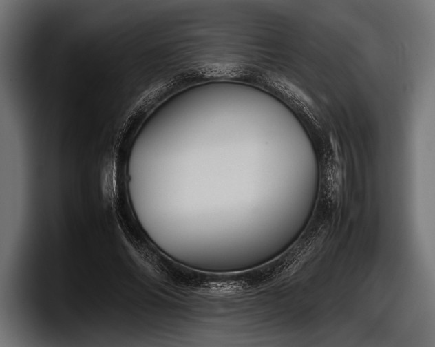 X0000097960686200803241214