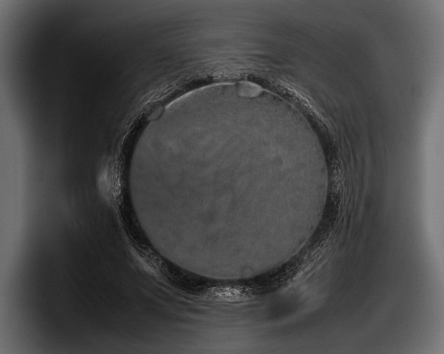 X0000097960687200803241214
