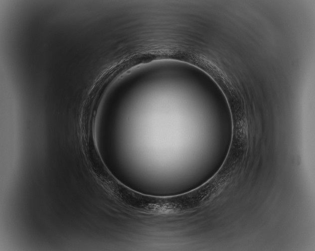 X0000097960688200803241214