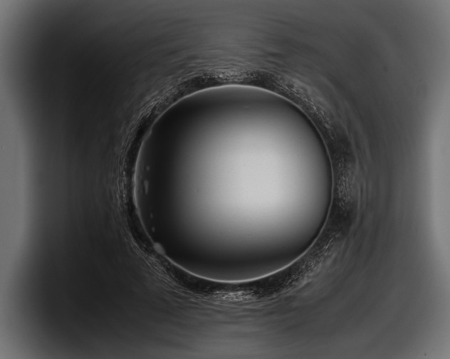 X0000097960689200803241214